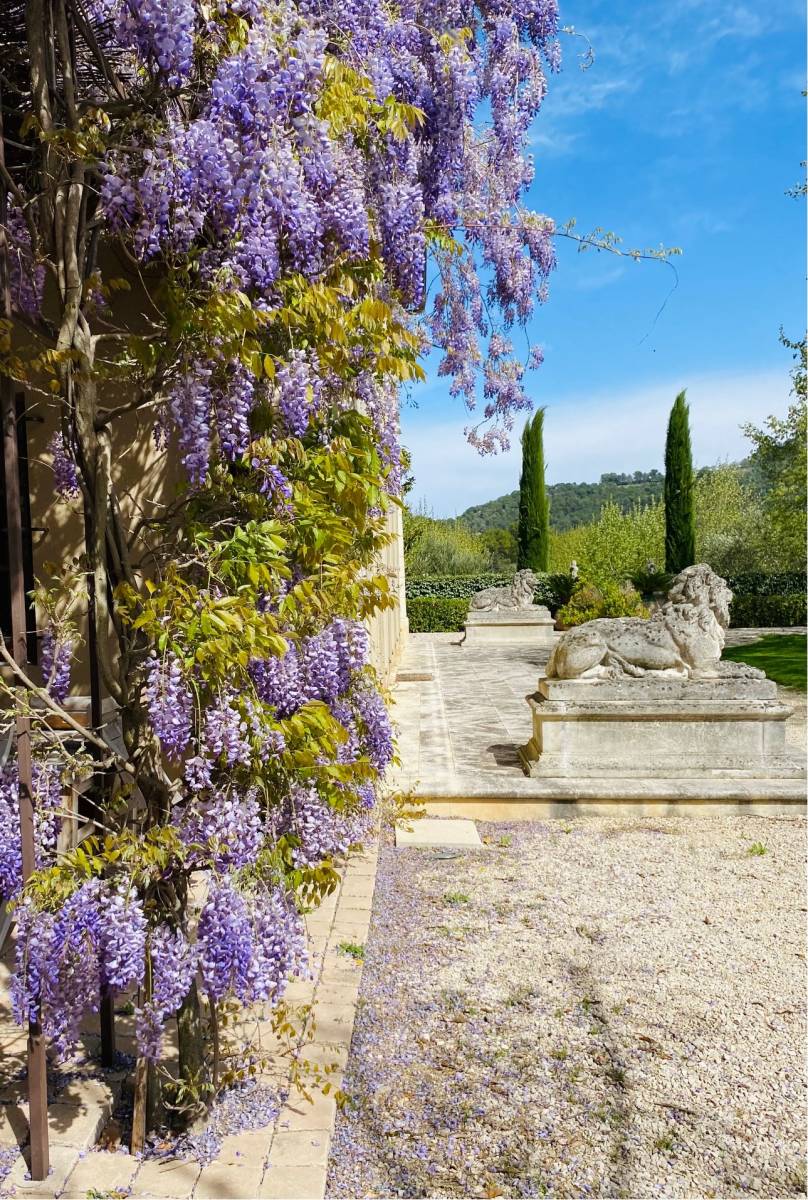 Maintaining your garden in Provence